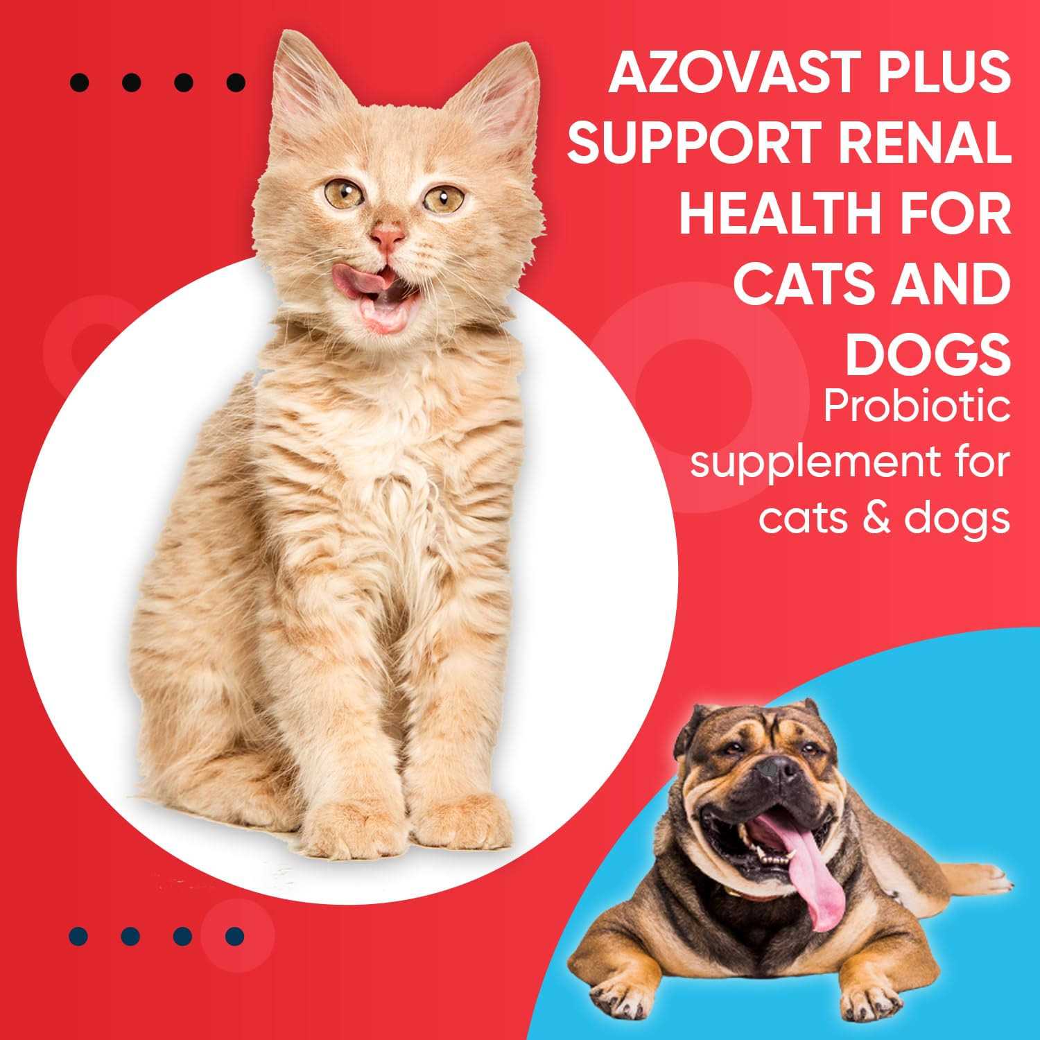 Pet Health Pharma Azovast Plus Kidney Health Supplement for Dogs & Cats