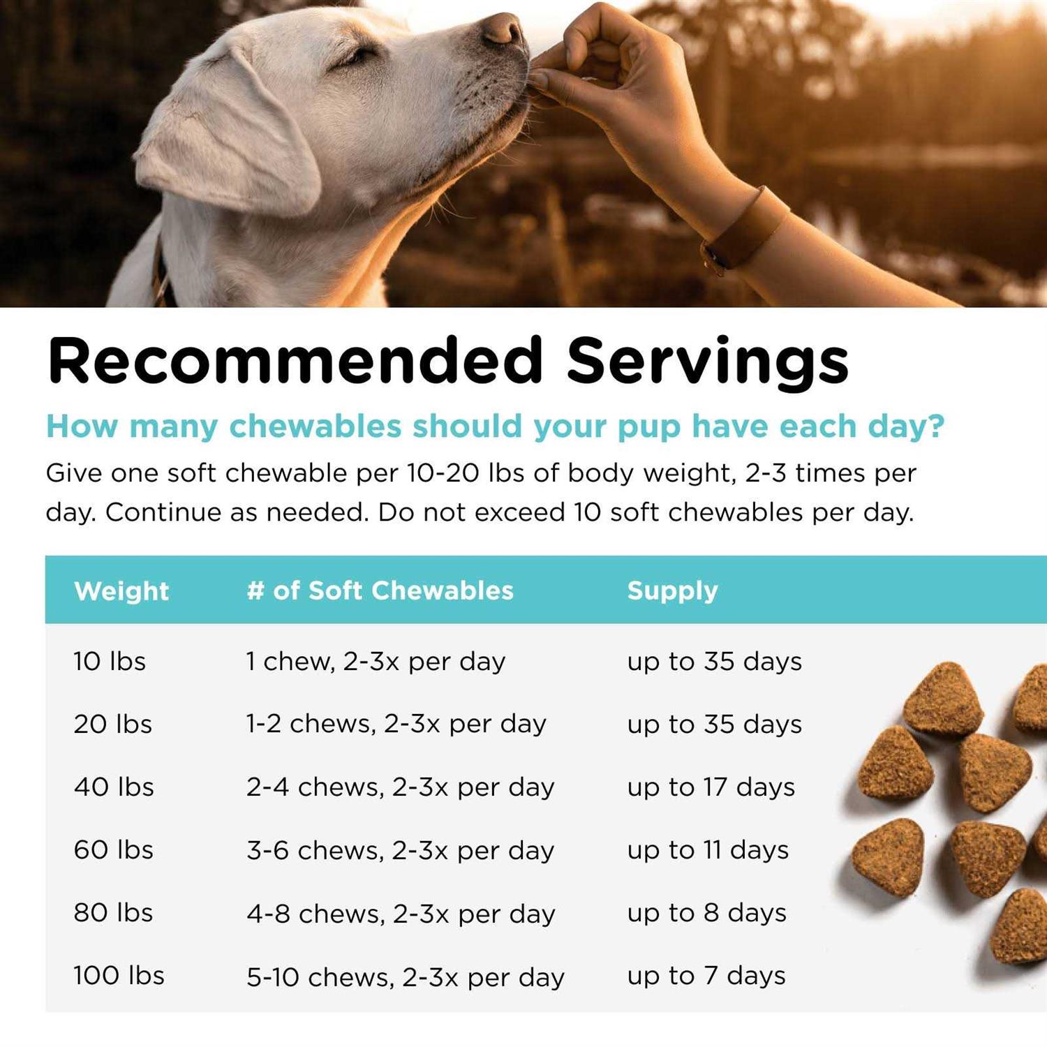 Nutri Vet Pet Ease Soft Chews for Dogs