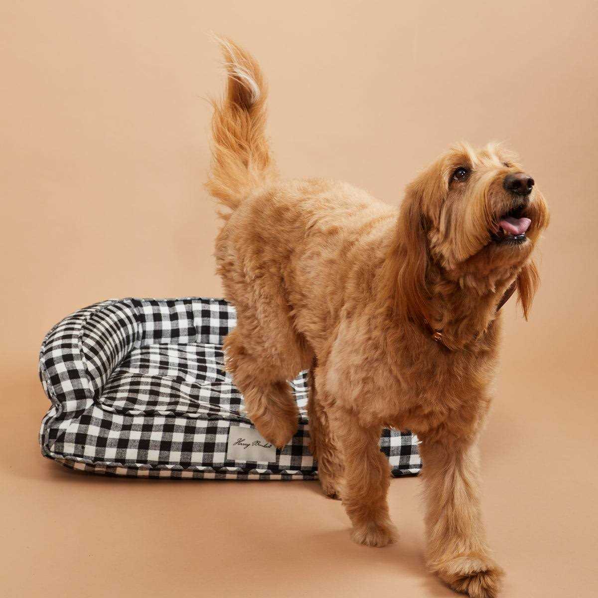 Harry Barker Buffalo Check Lounger