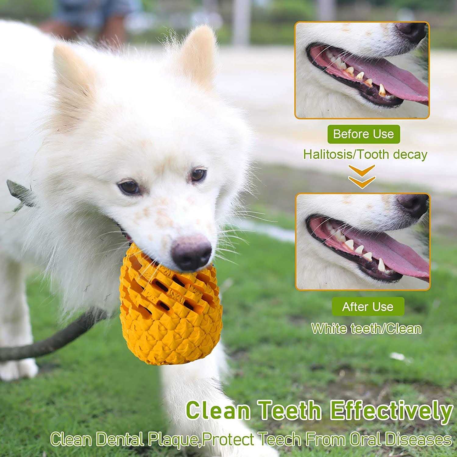 M.C.works Dog Chew Toys for Aggressive Chewer Tough Dog Dental Chews Toy