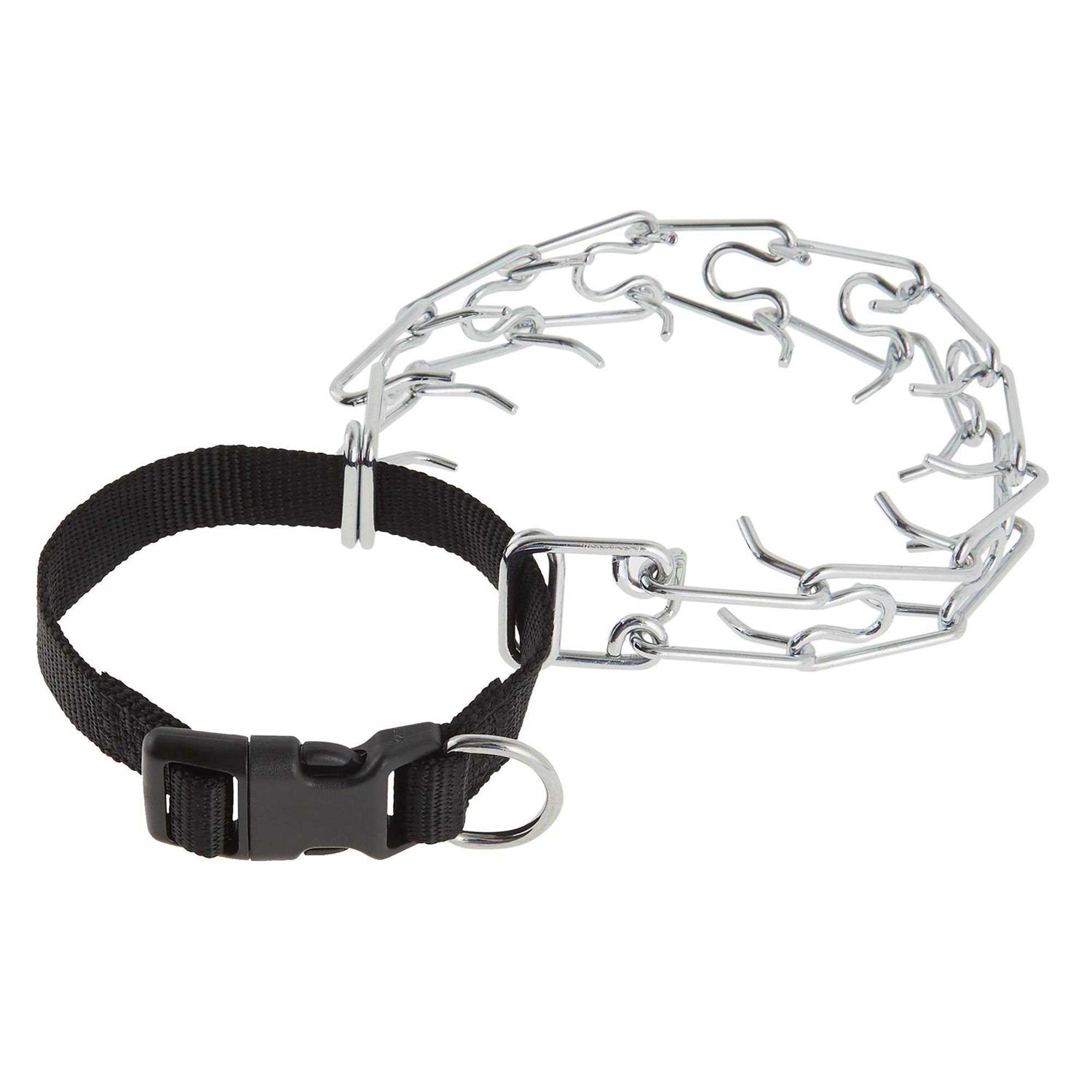 Top Paw Buckle Prong Training Dog Collar