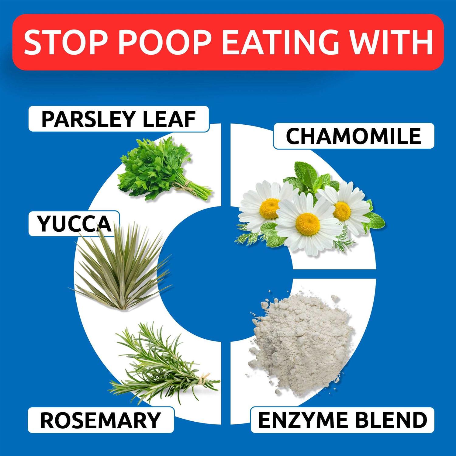 Bark&Spark Chew No Poo