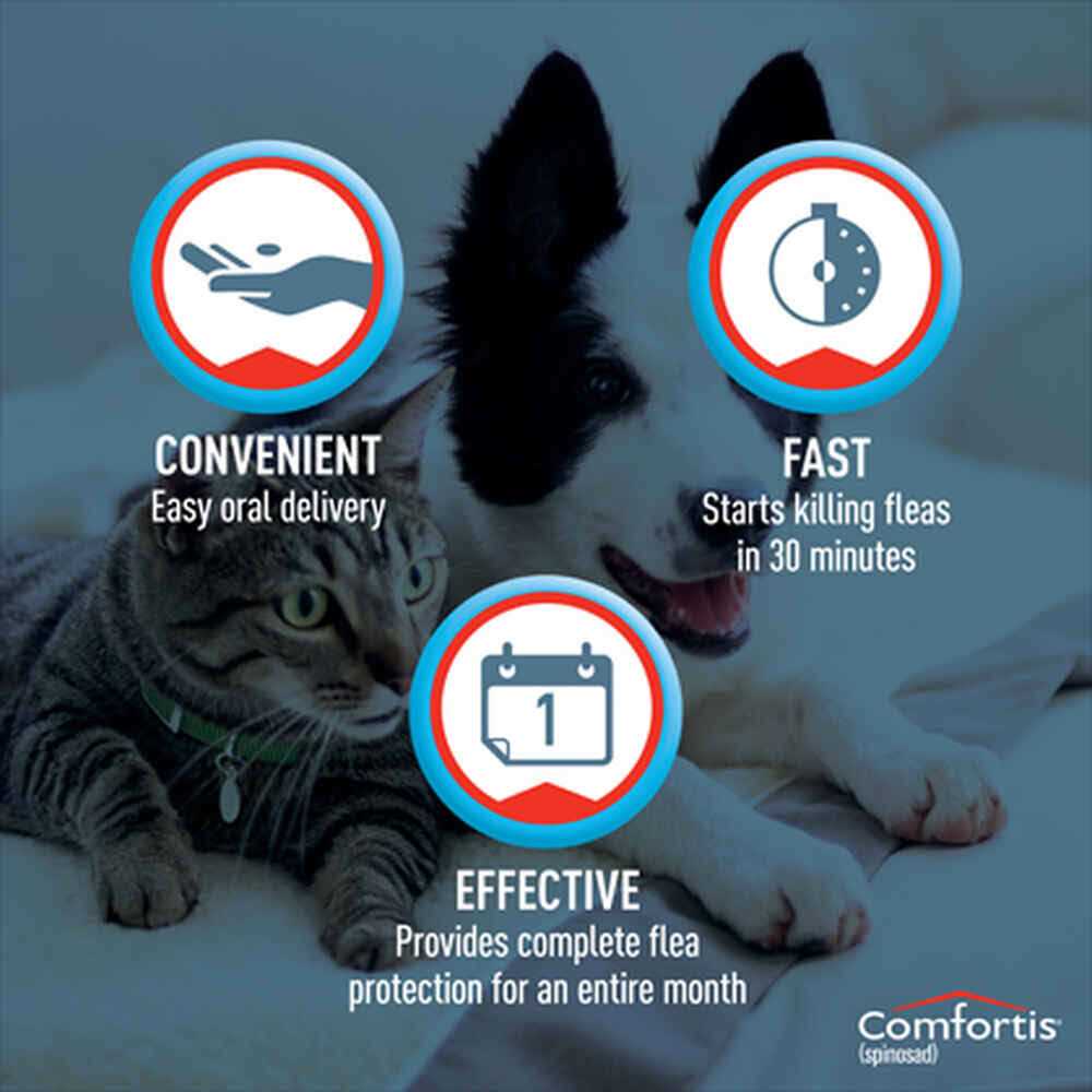 Comfortis Chewable Tablets for Dogs & Cats