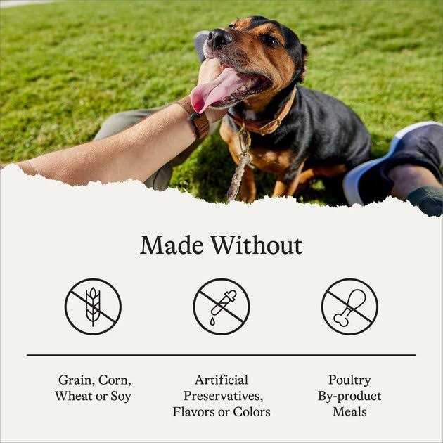 American Journey Limited Ingredient Grain-Free u0026 Sweet Potato Recipe Dry Dog Food