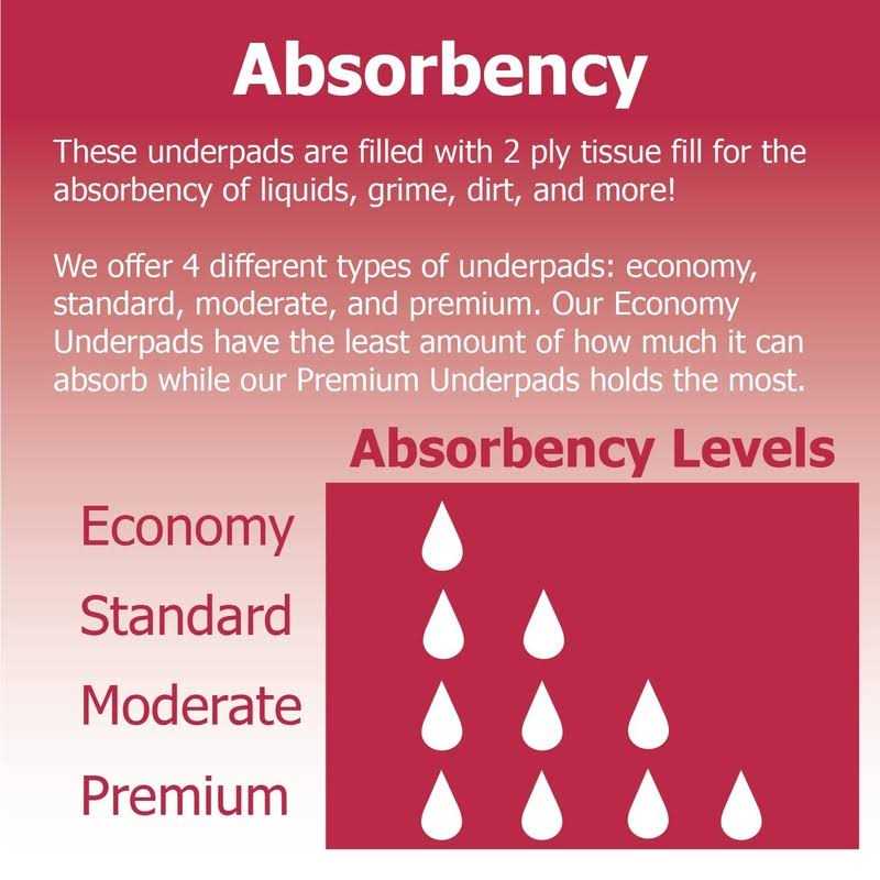 Dealmed Economy Absorbency Disposable Underpads 2-Ply Tissue Fill 17 X 24”