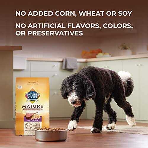 Nature’s Recipe Mature Dry Dog Food