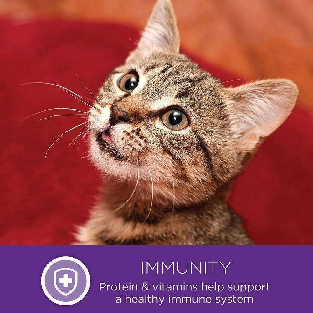 Wellness Healthy Indulgence Natural Grain Free Gravies and Gravy Cat Food Pouch