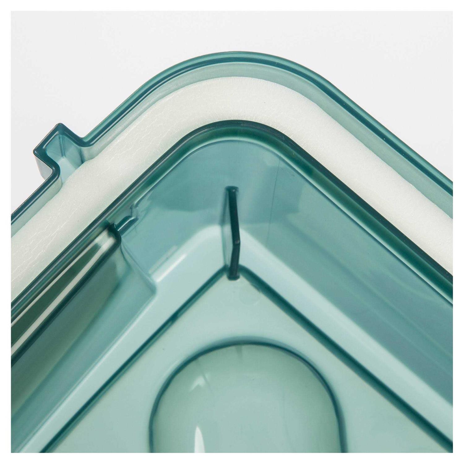 Iris Elevated Feeder with Airtight Storage