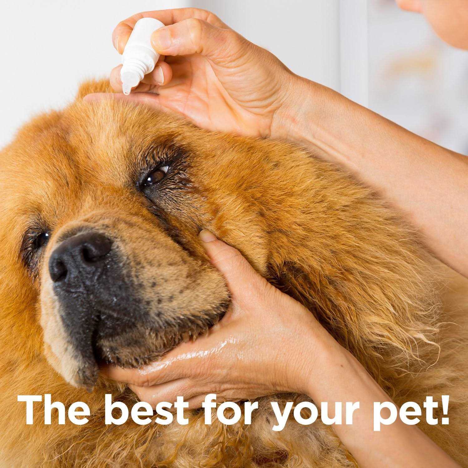 Ocluvet Eye Drops for Pets with Cataracts