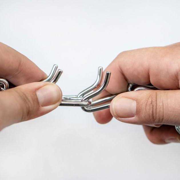 Herm Sprenger Ultra-Plus Prong Dog Training Collar with Latch