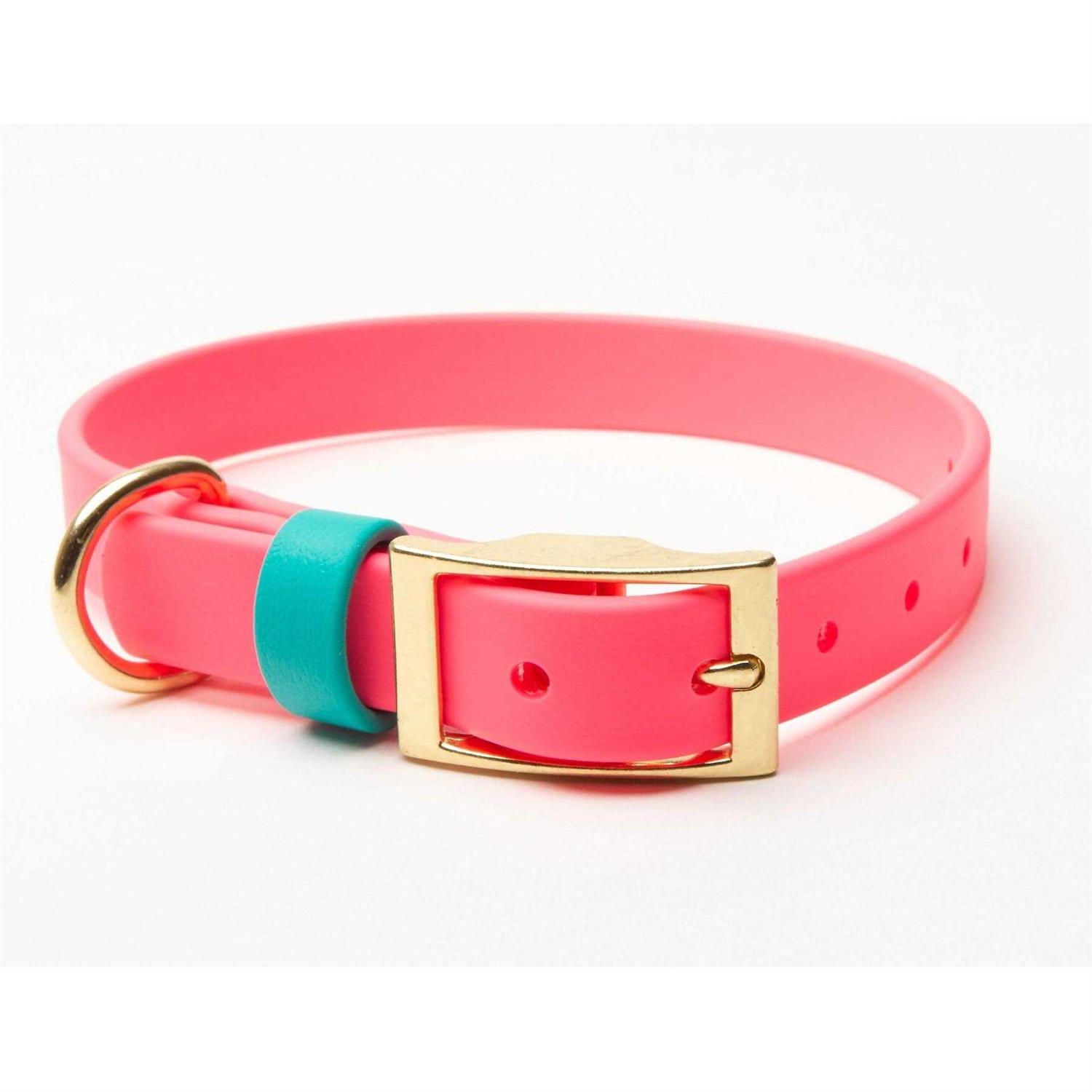 Pawfurever’s Waterproof & Odorless Dog Collar