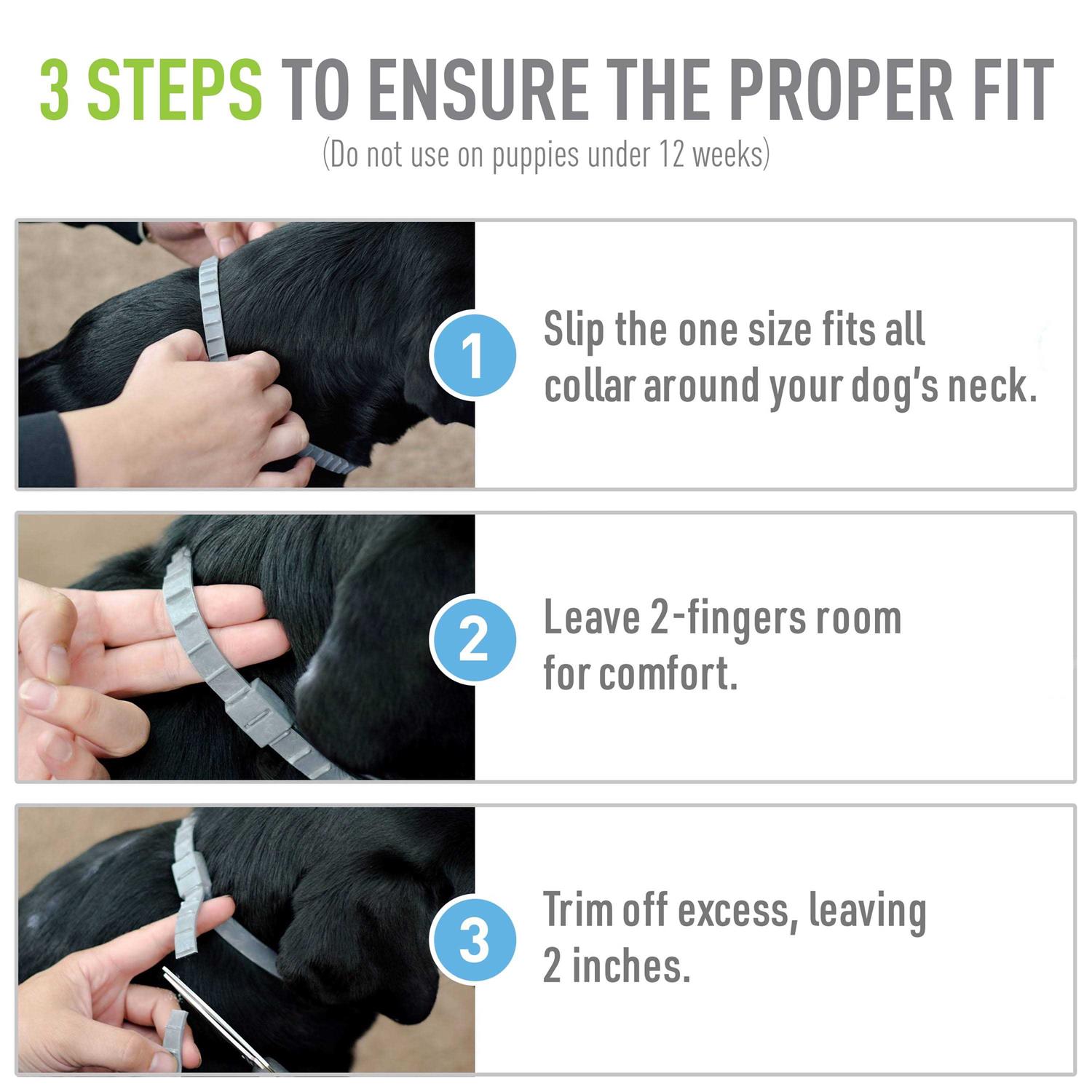 Adams Flea Tick Collar Plus for Dogs Puppies