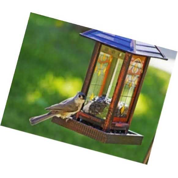 Wagner’s 5 Lb 100% Striped Sunflower Seed