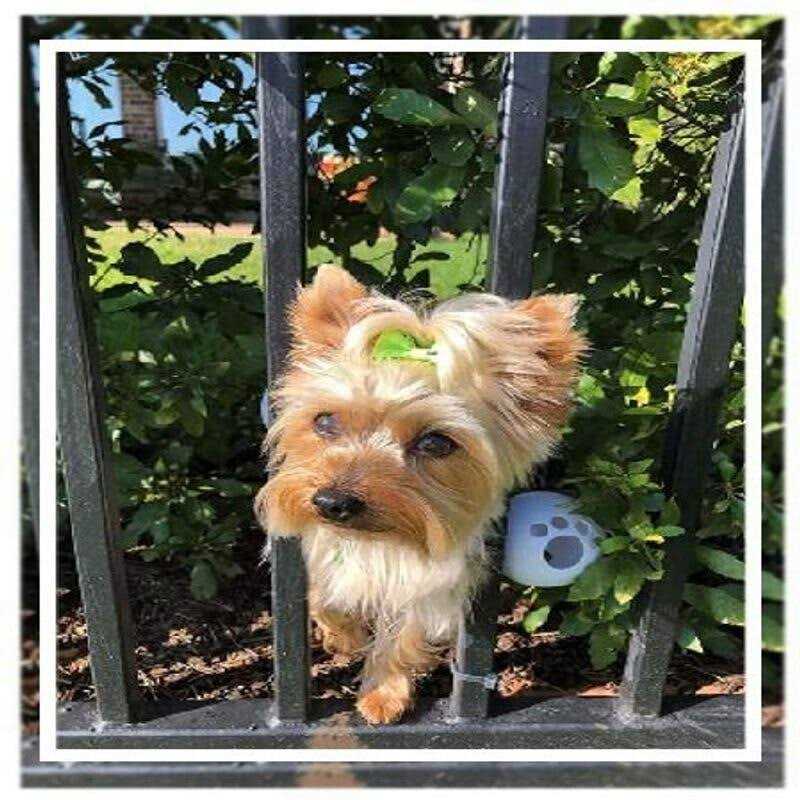 FenceMate Dog Harness Fits Girth