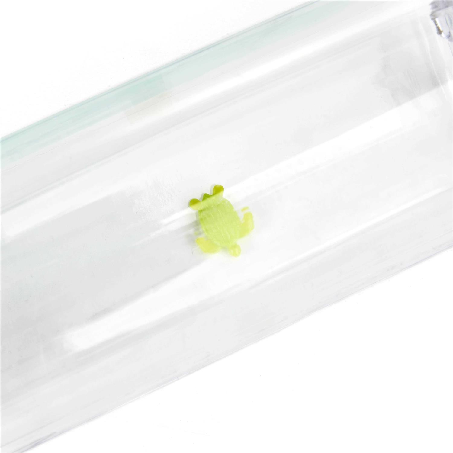 EveryYay Wet Your Whistle Assorted Small Pets Water Bottle