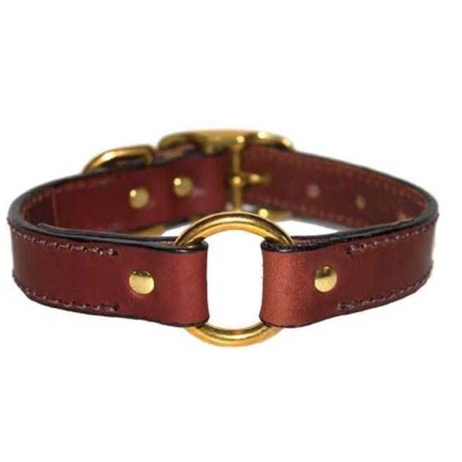 Leather Dog Collar with Nameplate