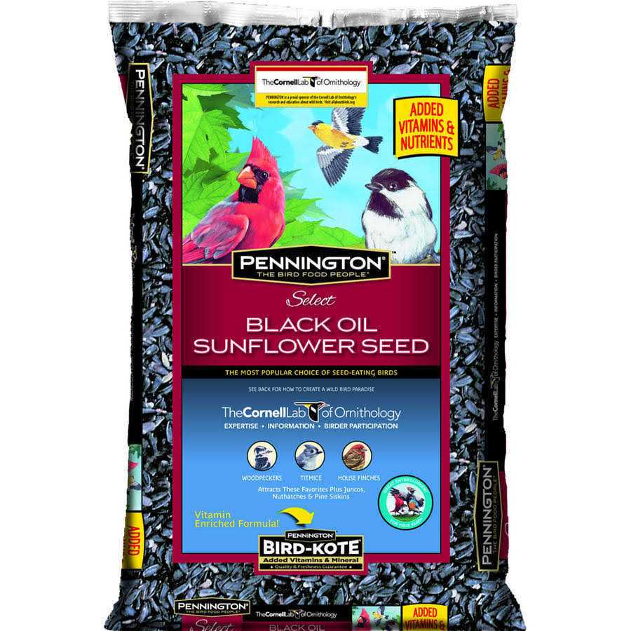 Pennington Select Black Oil Sunflower Seed Wild Bird Feed