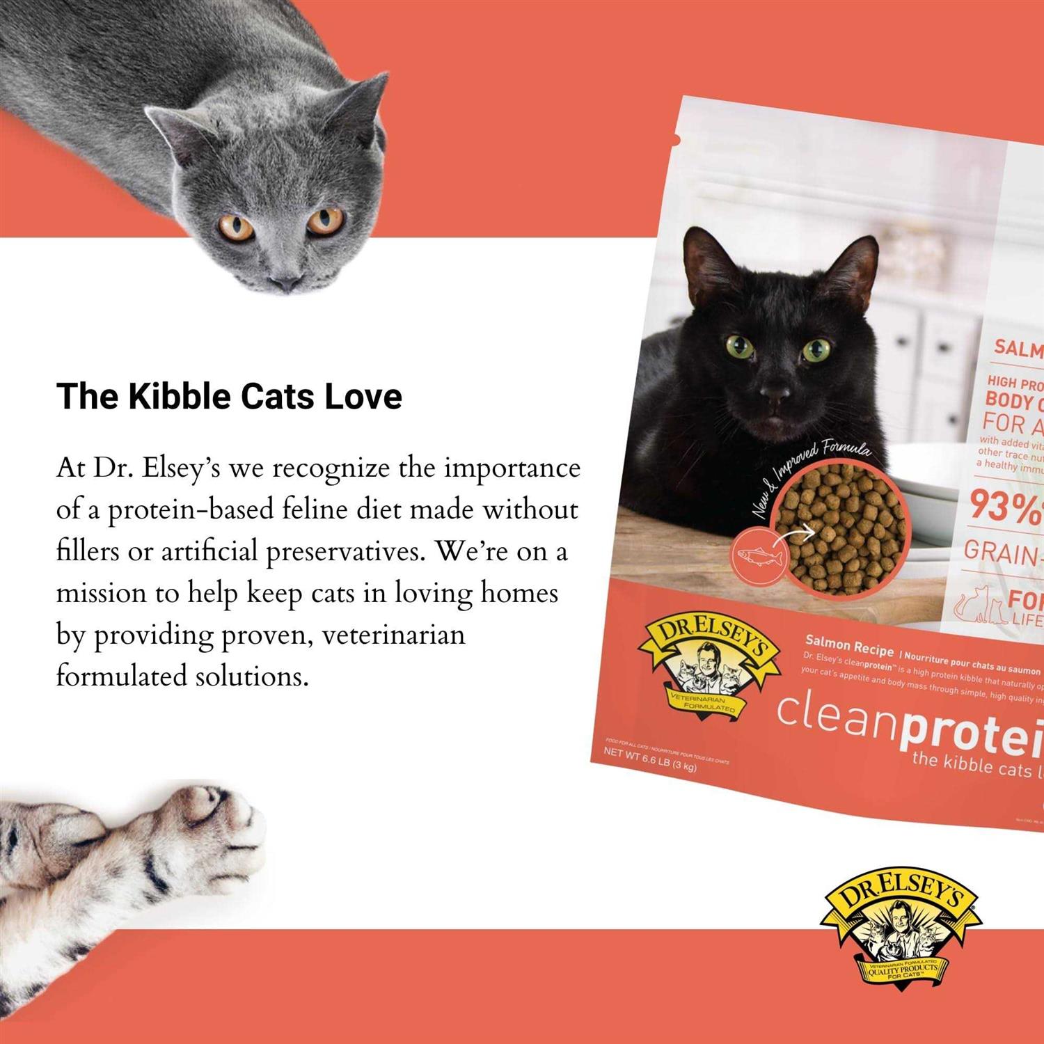 Dr. Elsey’s cleanprotein Dry Cat Food Salmon