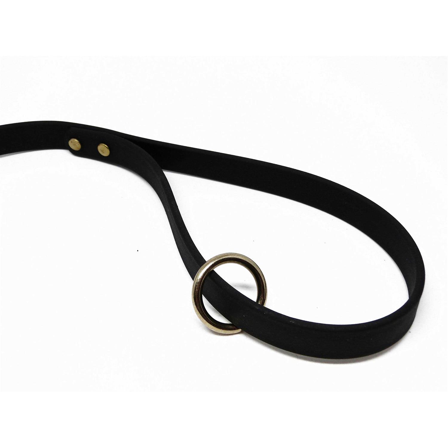 Jim Hodges Dog Training gummy Dog Leash Biothane Dog Training Leash