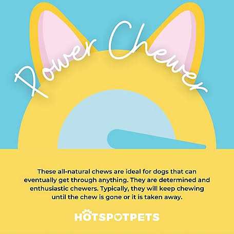 Hotspot Pets All Natural Whole Deer Antler Dog Chew Treats