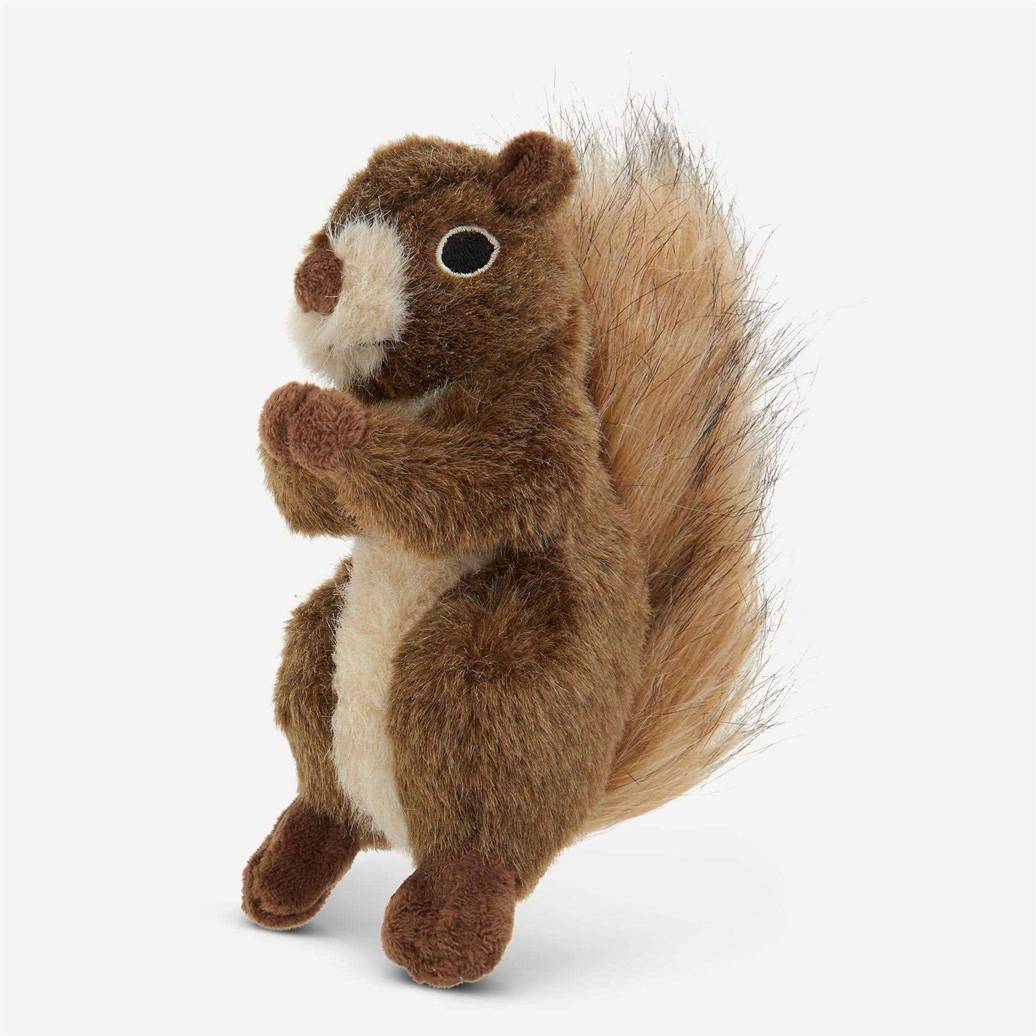 Joyhound Crazy Comfy Realistic Squirrel Dog Toy