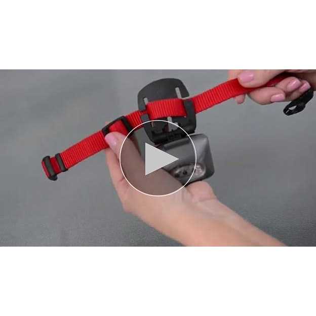 PupLight Dog Safety Light Version 2