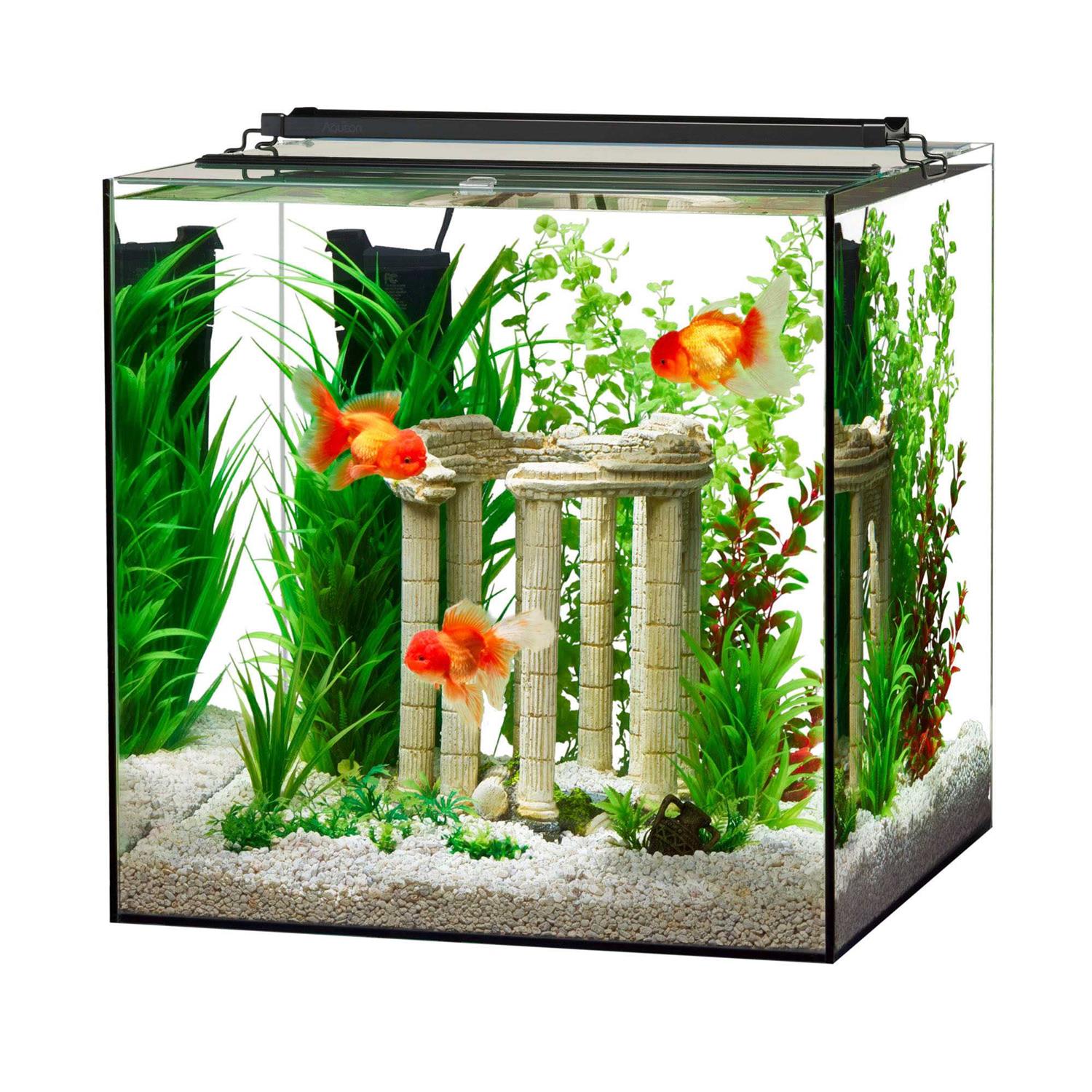 Aqueon Frameless Cube Aquarium