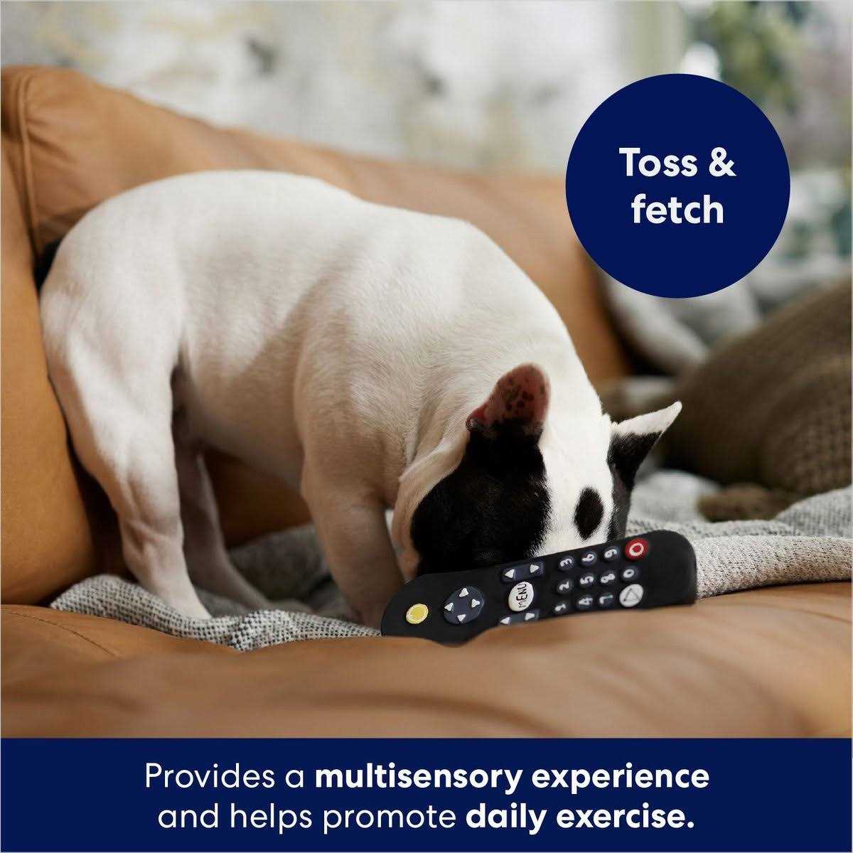 Frisco Zoomies & Chill Remote Latex Squeaky Dog Toy