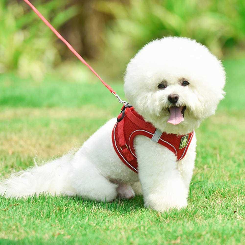 Feimax Dog Harness and Leash Set No-Pull Soft Mesh Vest Reflective Adjustable Pet Harnesses For Small