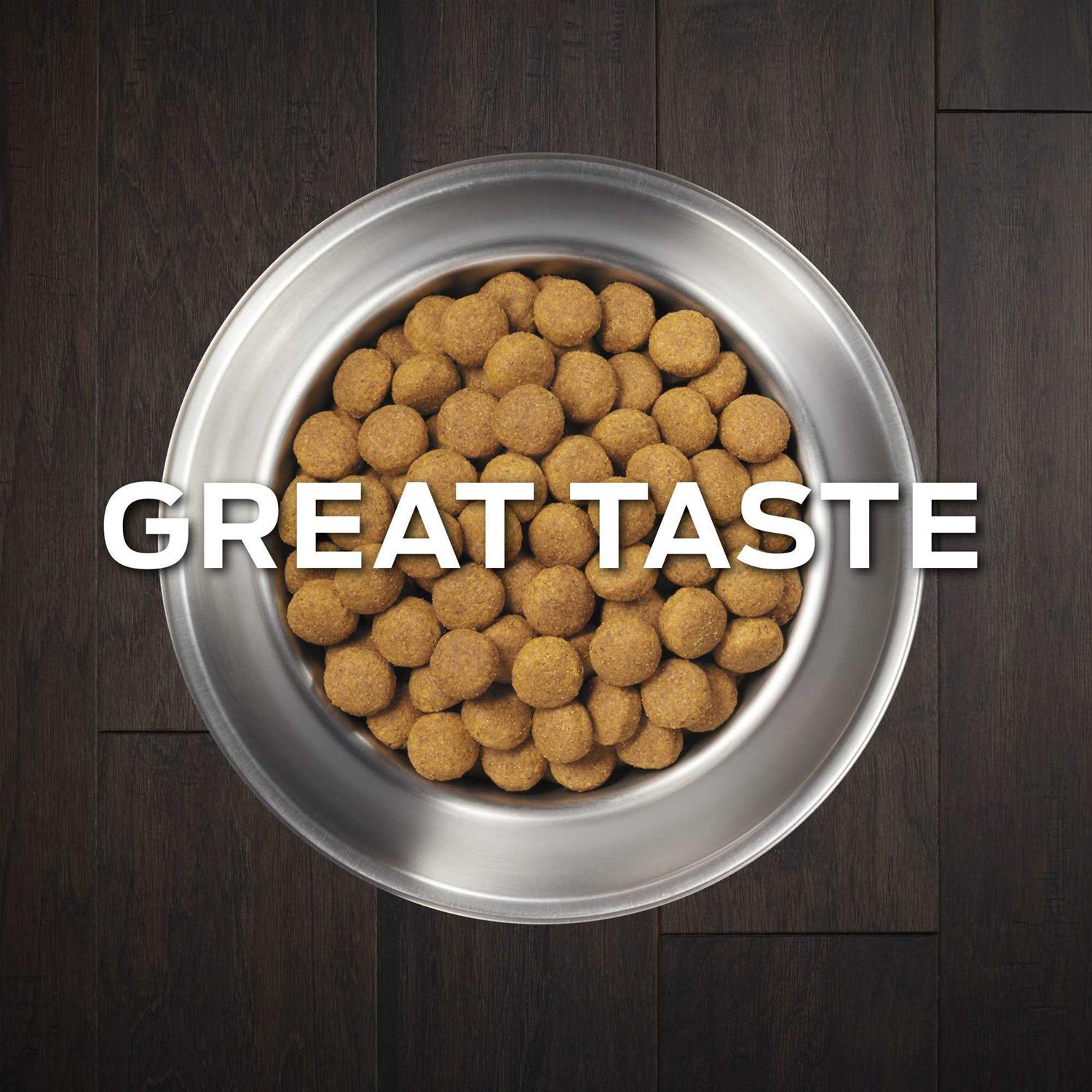 Purina Pro Plan Veterinary Diets DH Dental Health Formula Dry Dog Food