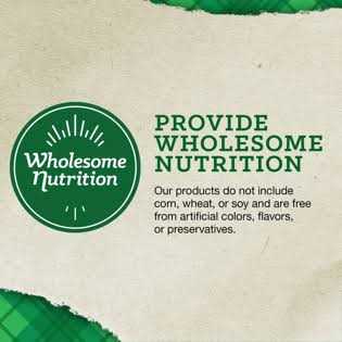 Loyall Life Adult Large Breed Lamb Meal & Rice