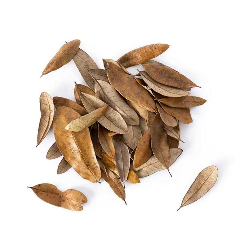 Galapagos 4 qt. Natural Live Oak Leaf Litter