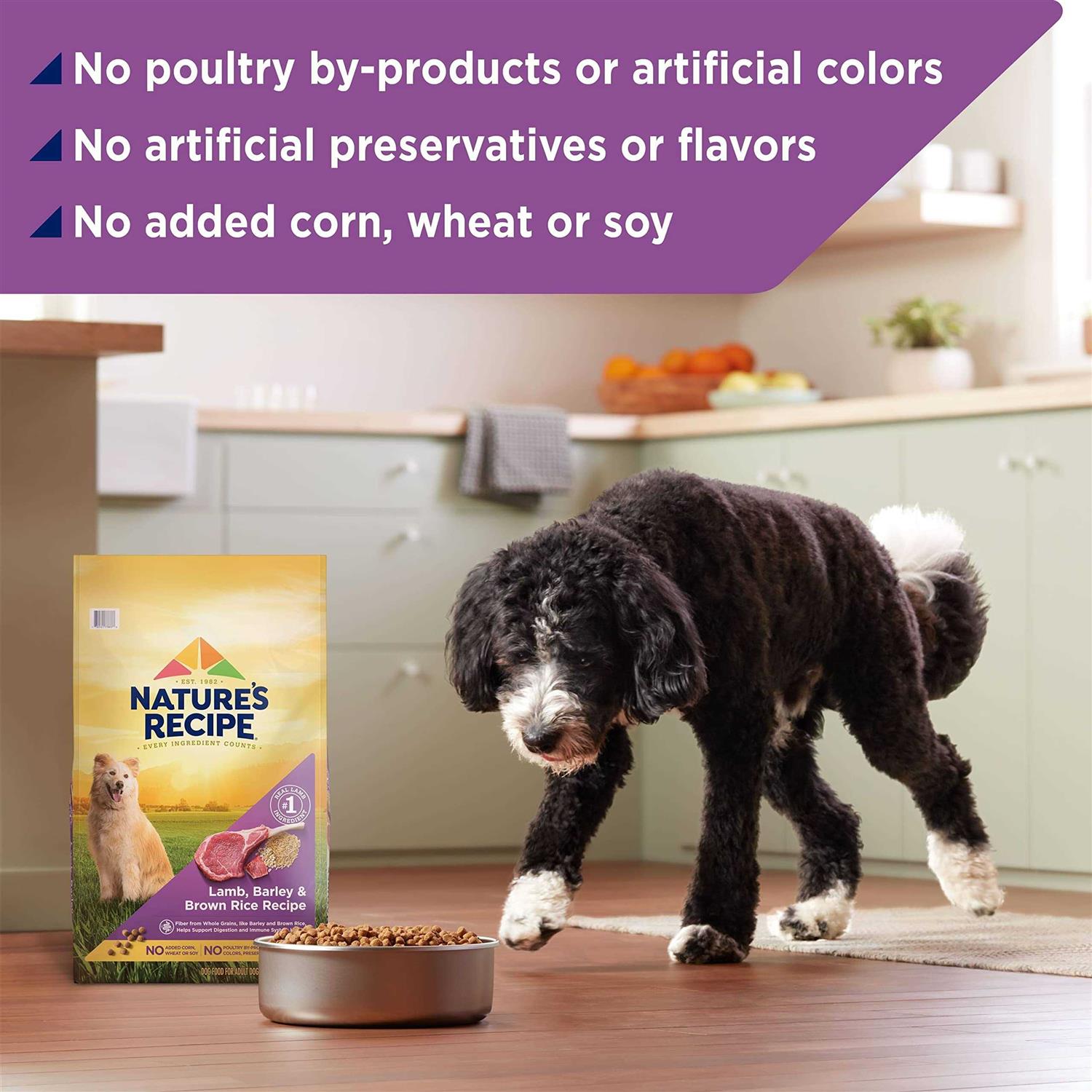 Nature’s Recipe Adult Dry Dog Food