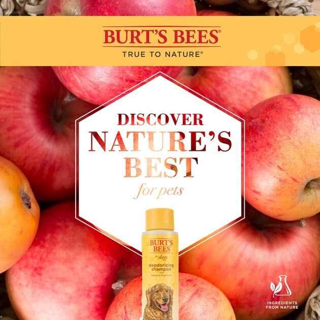 Burt’s Bees Shampoo