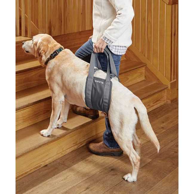 Orvis Gray Rear Dog Lift