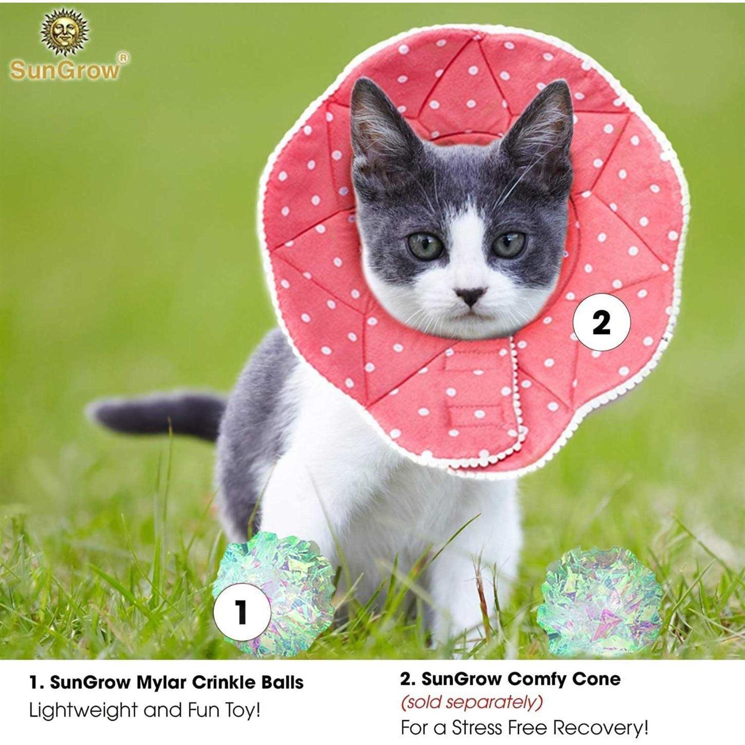 SunGrow Entertainment Clear Mylar Indoor Cat & Ferret Crinkle Balls & Chase Toy