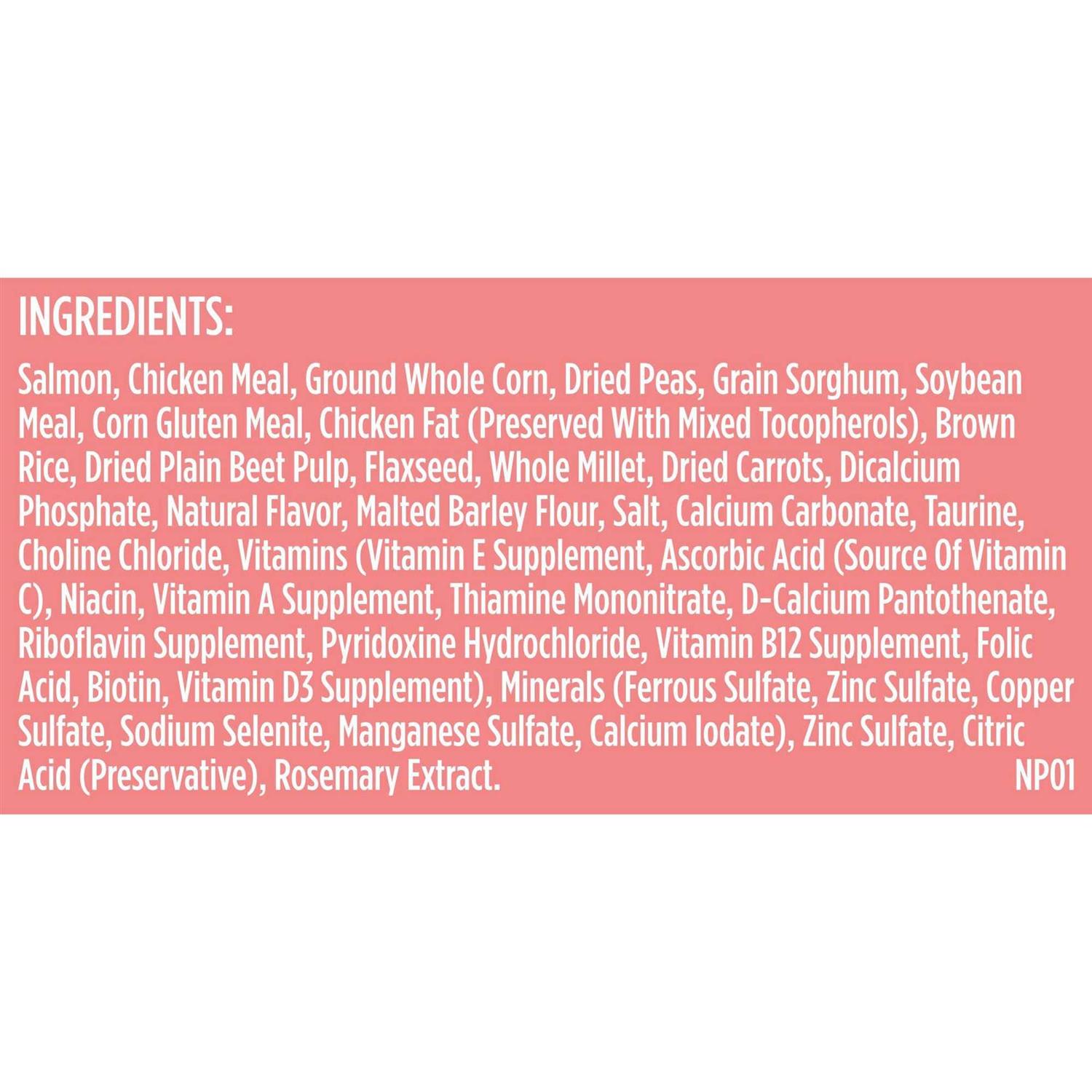 Rachael Ray Nutrish Salmon Veggies & Brown Recipe Dry Dog Food