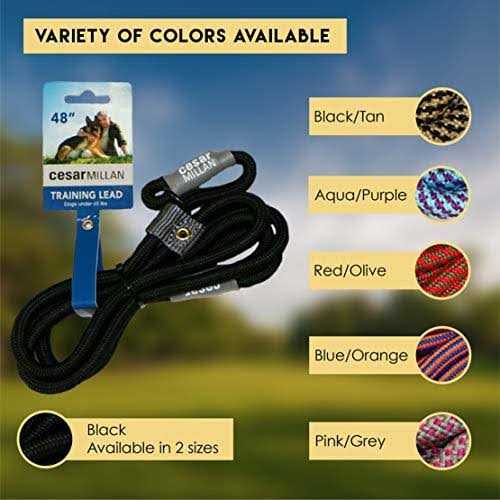 Cesar Millan Slip Lead Leash 2-in-1 Slip Collar Dog Training Lead & Collar