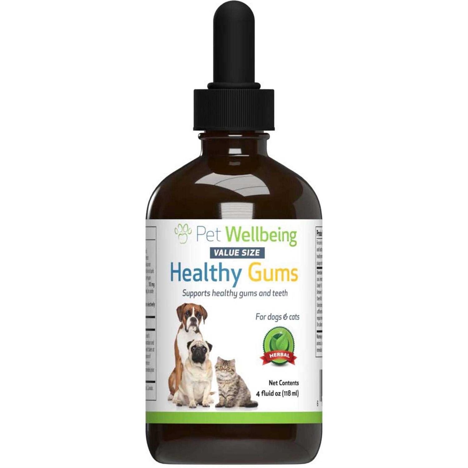 Pet Wellbeing Healthy Gums for Feline Periodontal Health