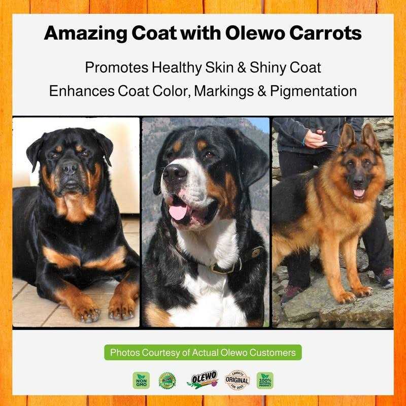 Olewo Original Carrots for Dogs Fiber for Dog Stool Hardener Dog Food Toppers for Picky Eaters