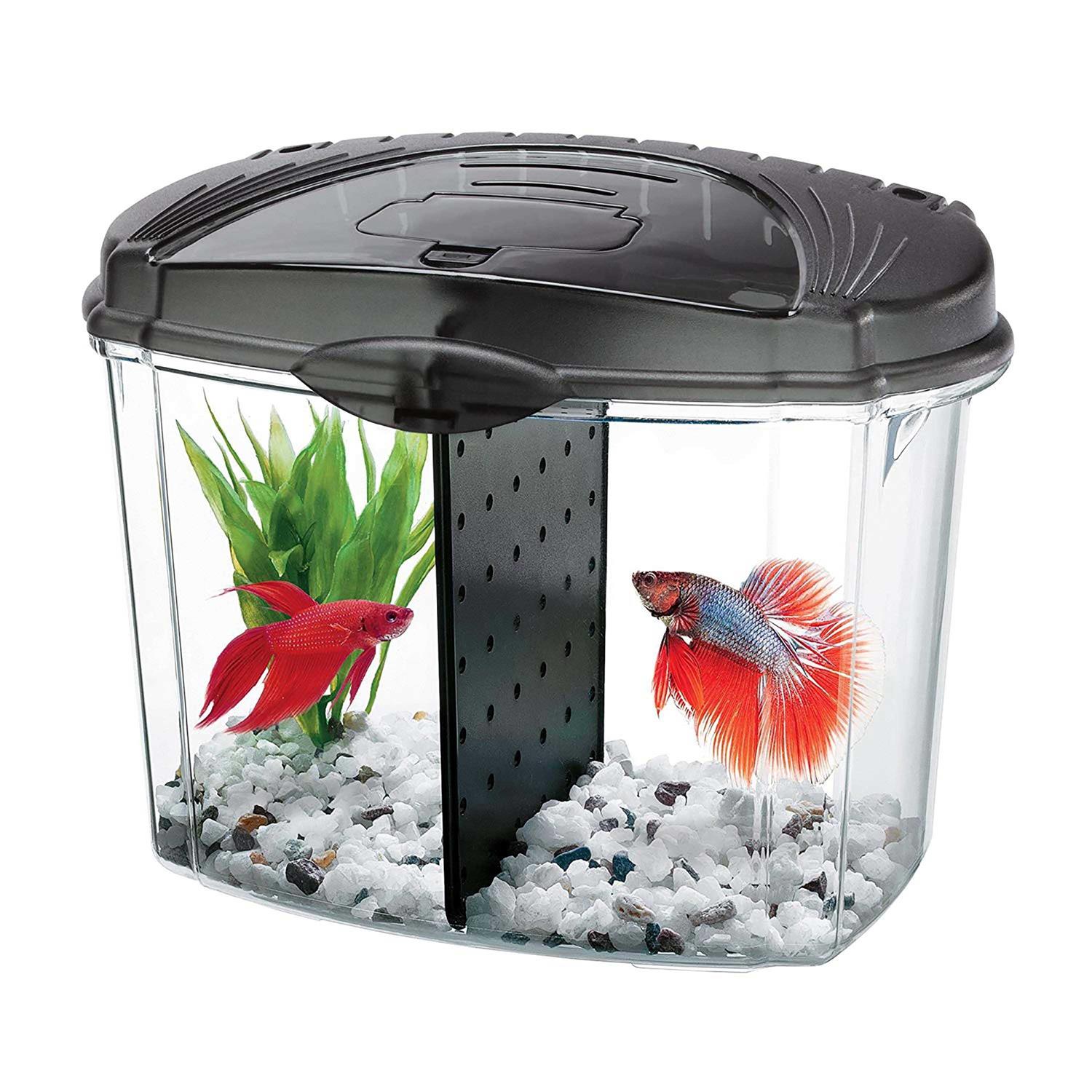 Aqueon Betta Bowl Kit