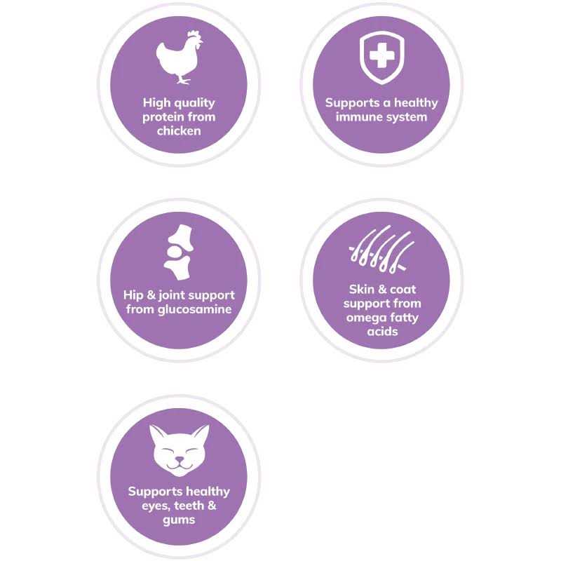 Wellness Complete Health Grain-Free Indoor Deboned Chicken Recipe Dry Cat Food