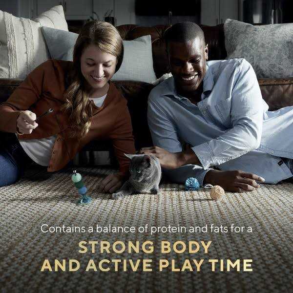 Sheba Perfect Portions Wet Kitten Food Pate