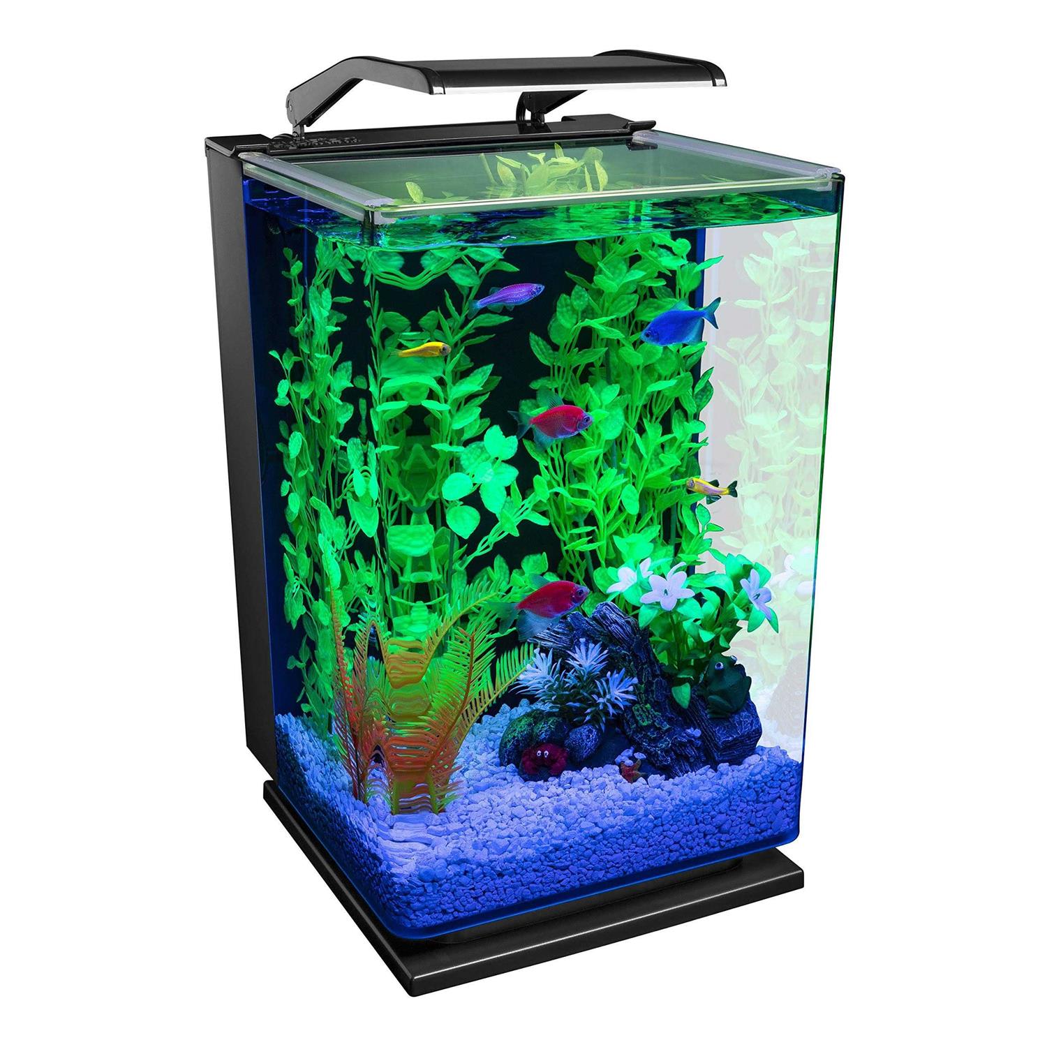 GloFish Aquarium Kit