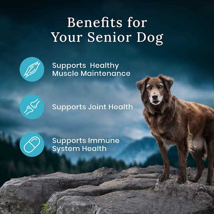 Blue Buffalo Blue Wilderness Premier Blend with Meaty Cuts Chicken Senior Dry Dog Food