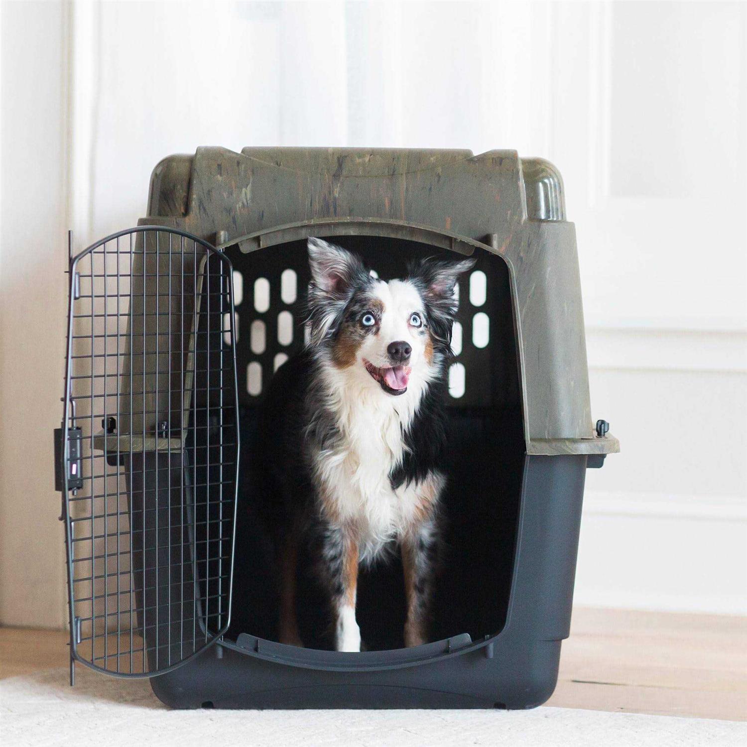 Ruff Maxx Kennel