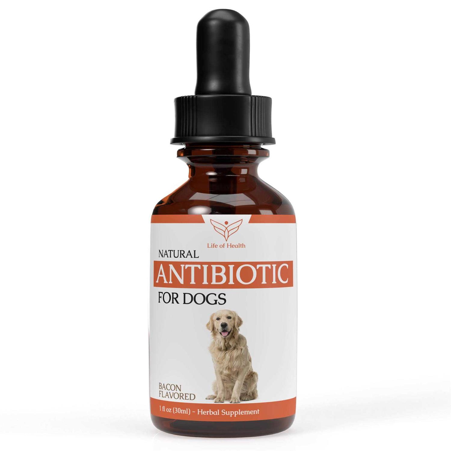 Life of Health Natural Dog Antibiotics Antibiotics for Dogs Helps Support a Healthy Immune System