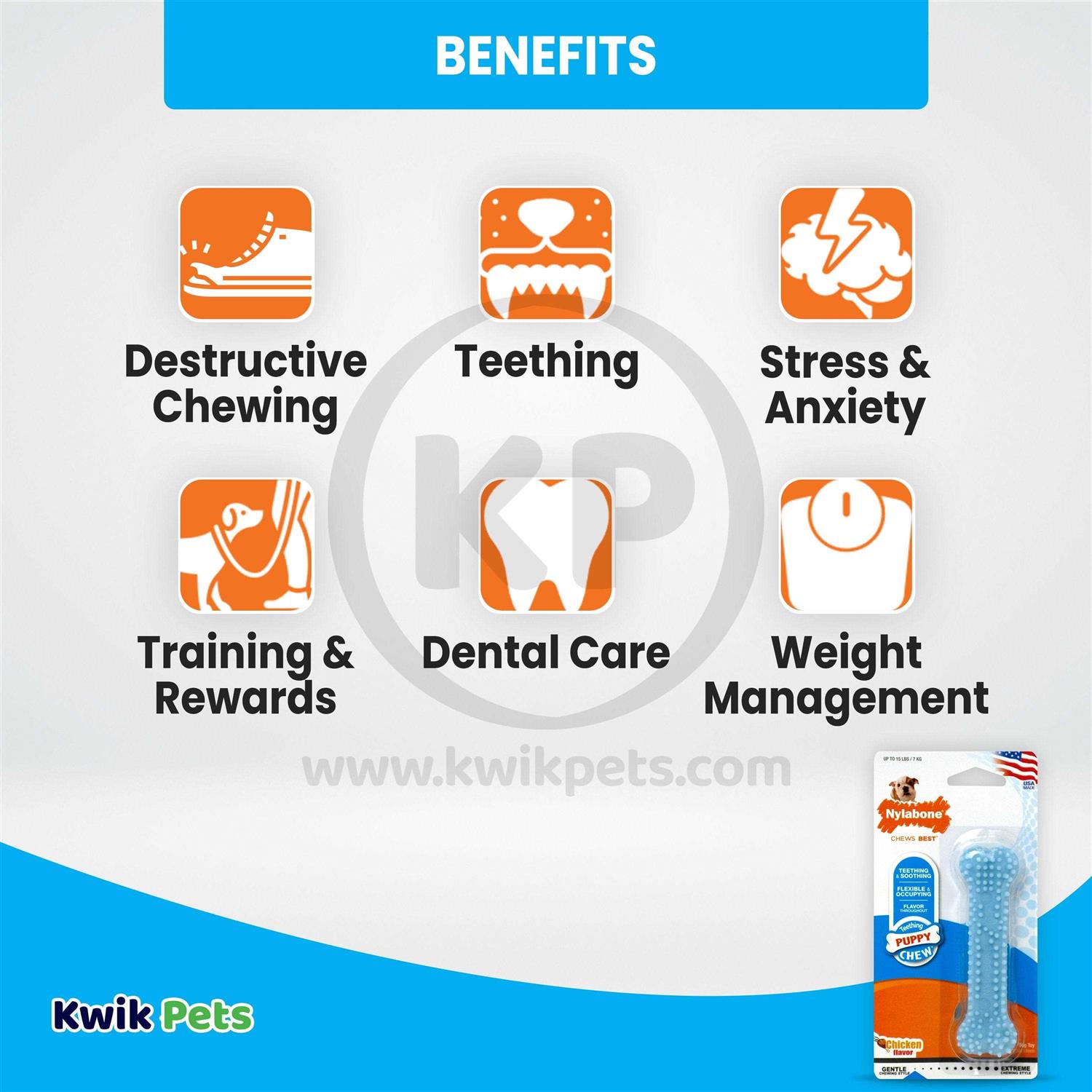 Nylabone Puppy Dental Chew Toy