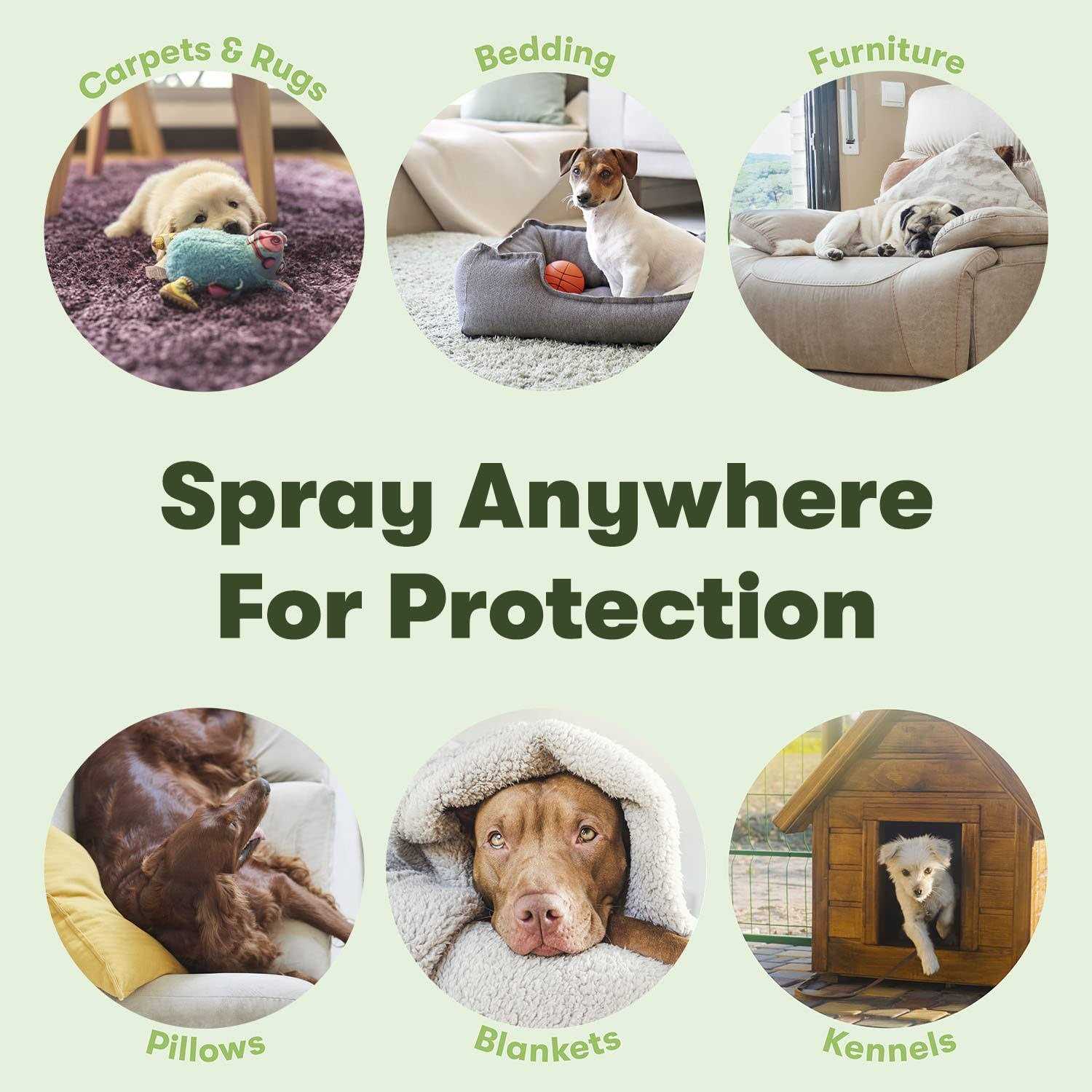 Bugmd Flea and Tick Concentrate Essential Oil-Powered Formula, Controls Fleas, Ticks, Mites in Dogs, Cats, and Other Furred