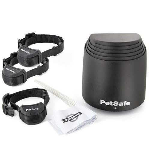 PetSafe Stay Play Wireless Fence